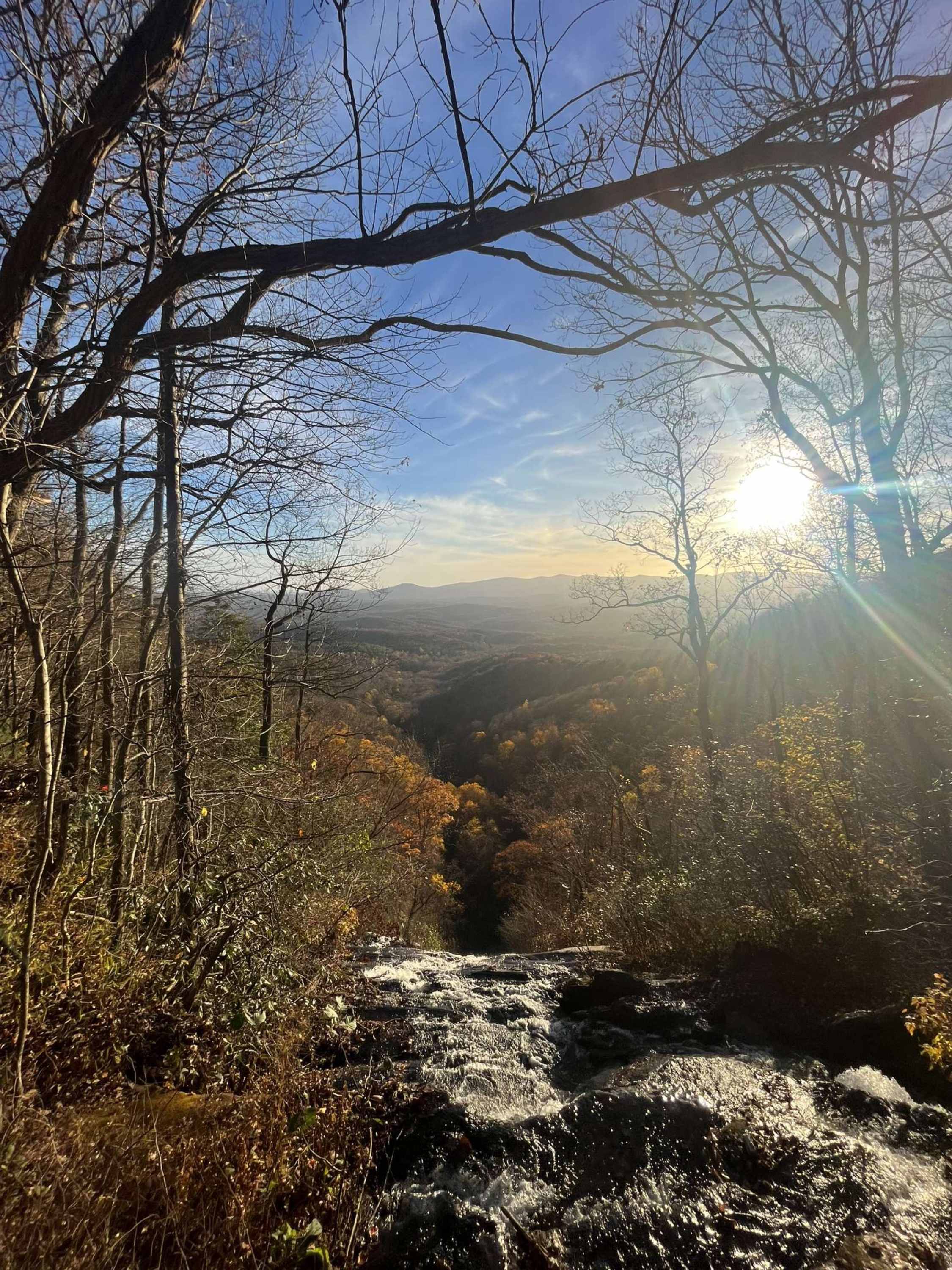 Serene nature landscape with sunlight
